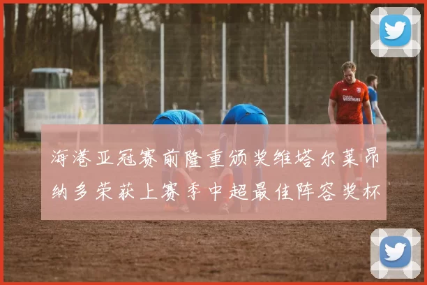 海港亚冠赛前隆重颁奖维塔尔莱昂纳多荣获上赛季中超最佳阵容奖杯